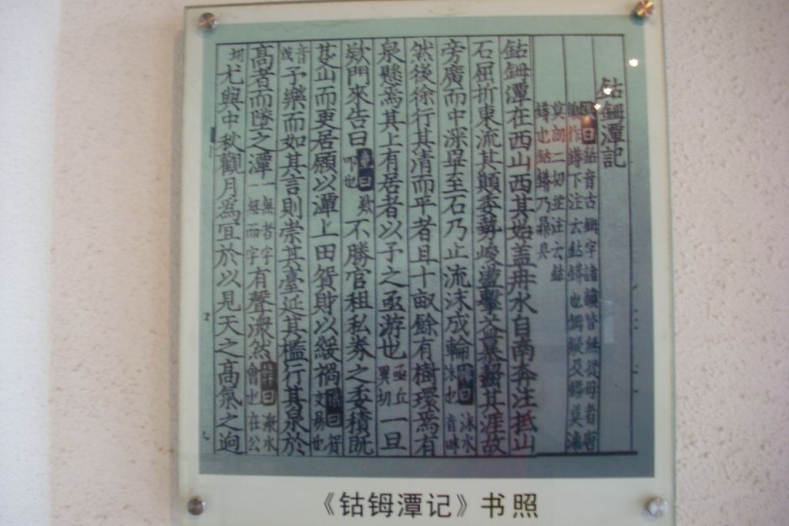 DSCI1358.JPG