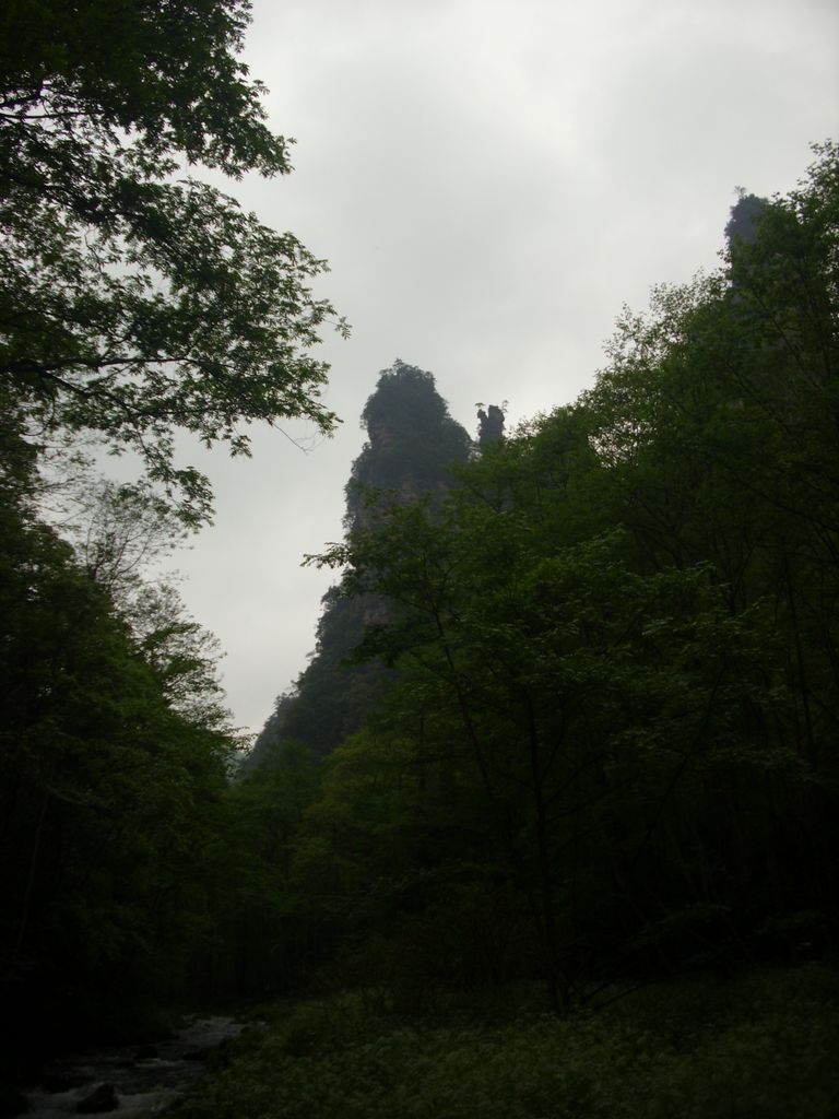 DSCI1377.JPG