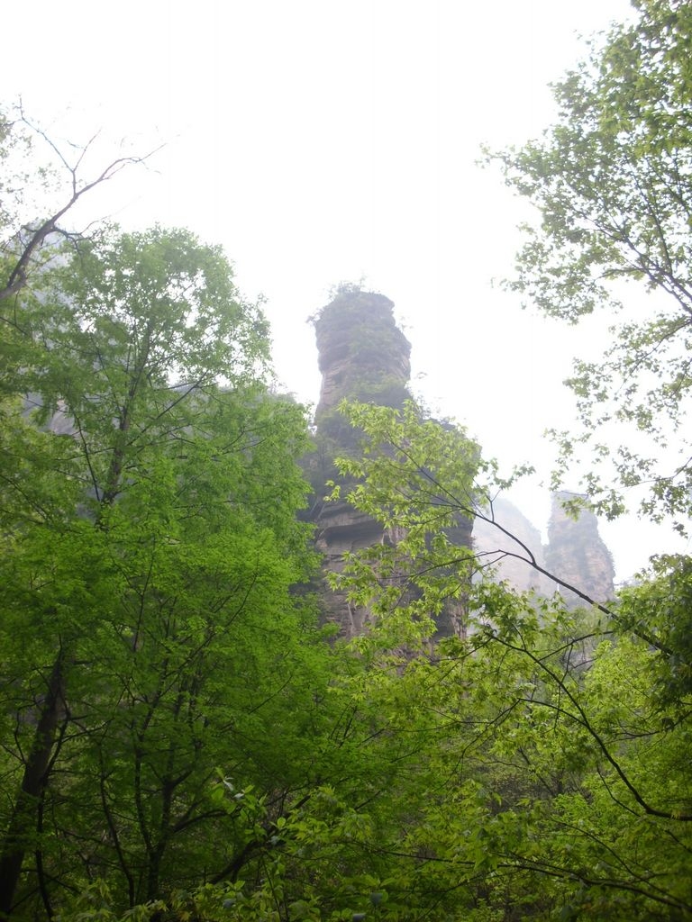 DSCI1386.JPG