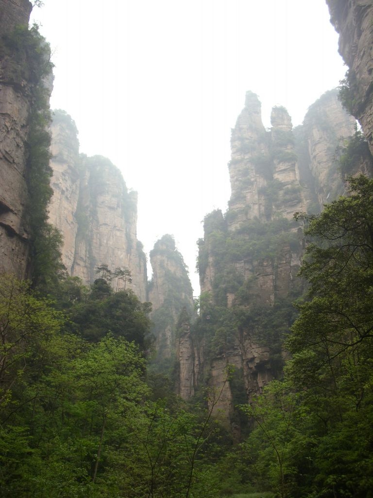 DSCI1392.JPG