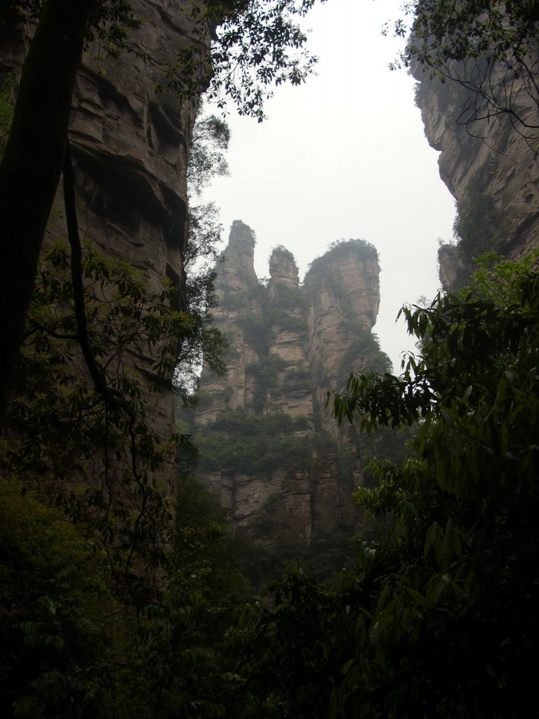 DSCI1393.JPG