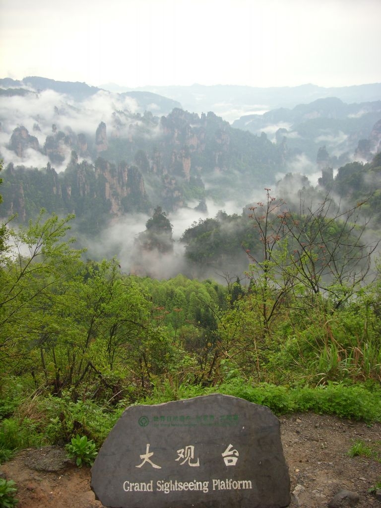 DSCI1466.JPG