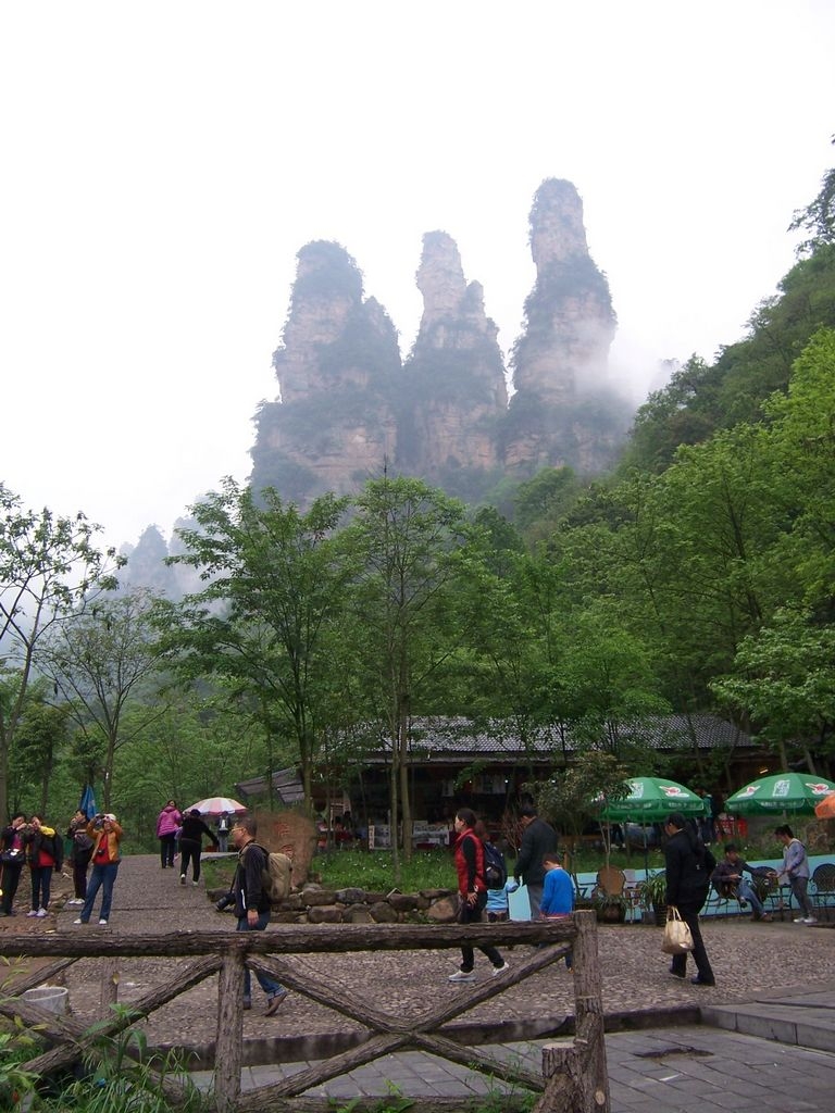 100_2528.JPG