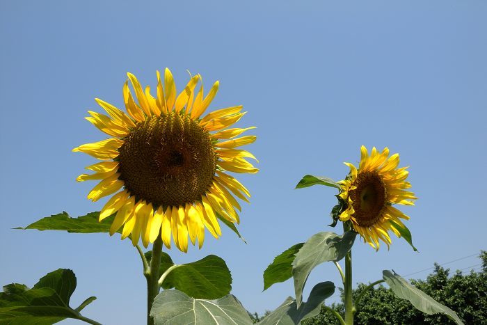 DSCN2886.jpg