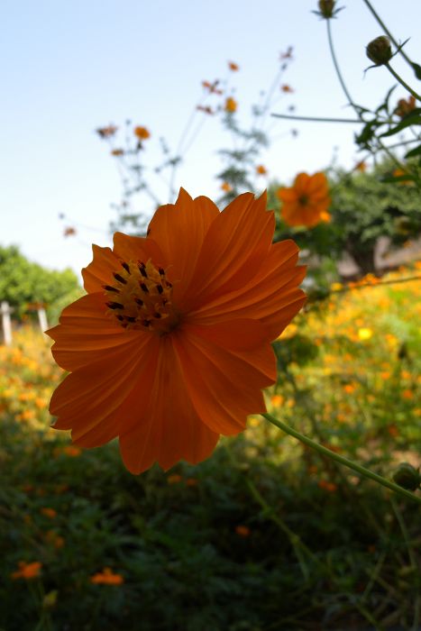 DSCN2880.jpg