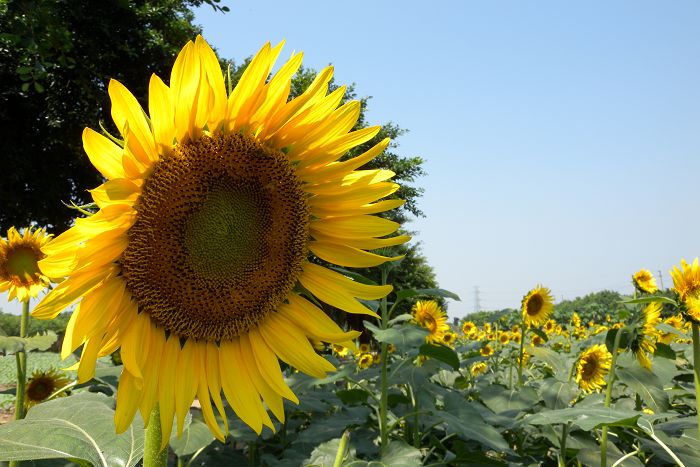DSCN2903.jpg