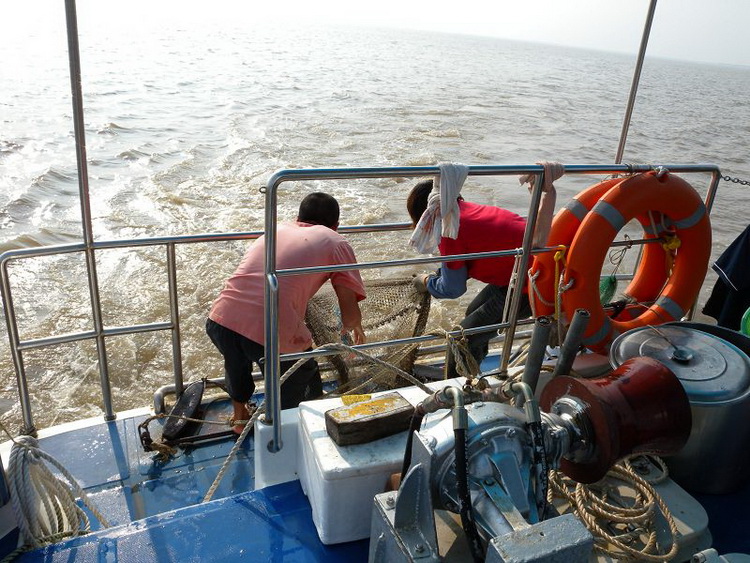 DSCN2462.jpg