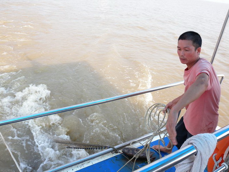 DSCN2385.jpg