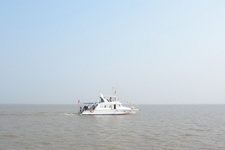 DSCN2390.jpg