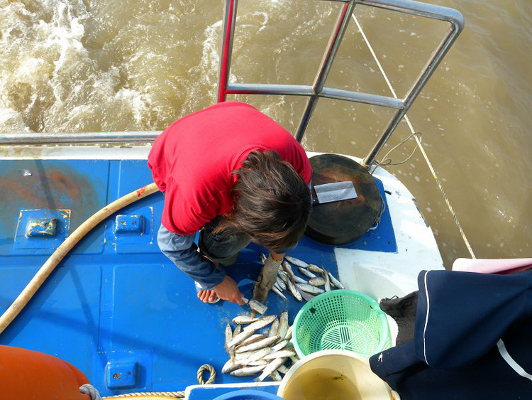 DSCN2439.jpg