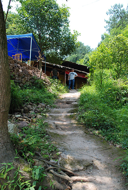 DSC_0945.jpg