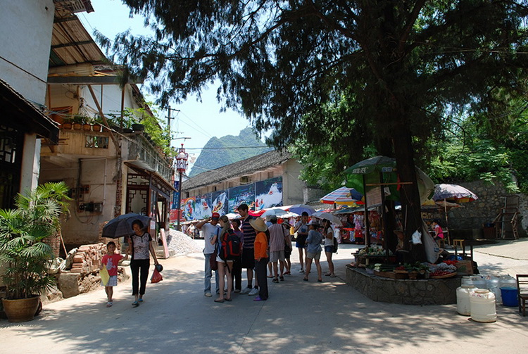 DSC_1101.jpg