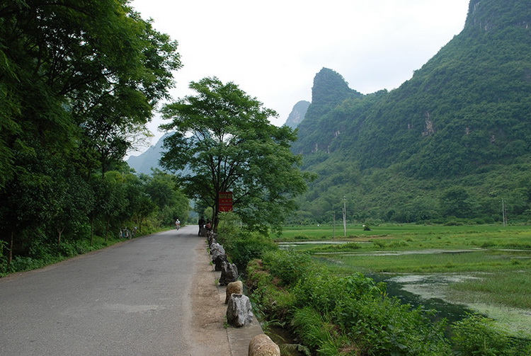 DSC_1186.jpg