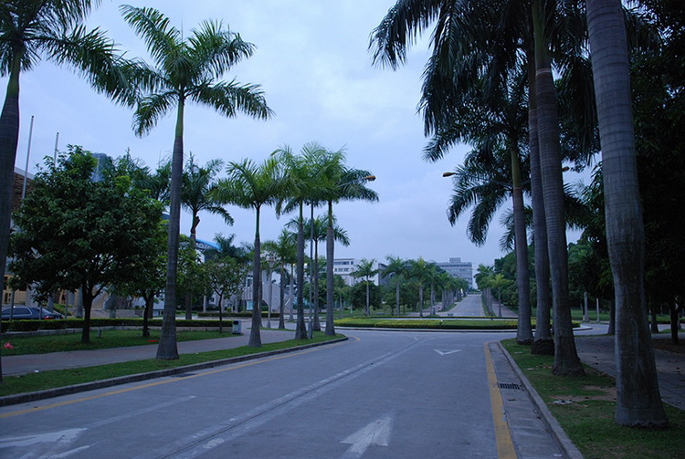 DSC_1319.jpg