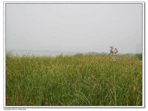 蠡湖大桥11.jpg