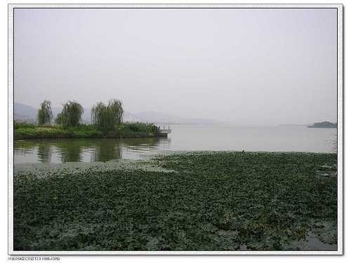 蠡湖大桥8.jpg