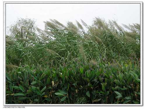 蠡湖大桥10.jpg