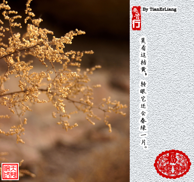 秦晋行—碛口15.jpg