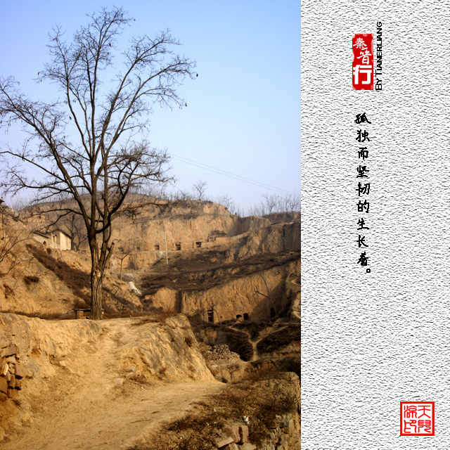 秦晋行—李家山15.jpg