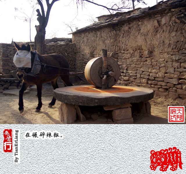 秦晋行—小程村12.jpg
