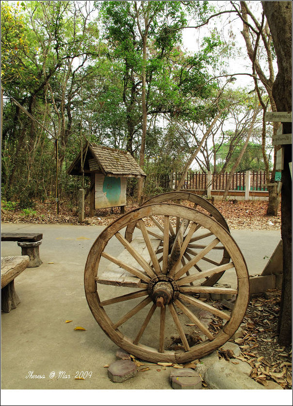 Wat Umong-1.jpg