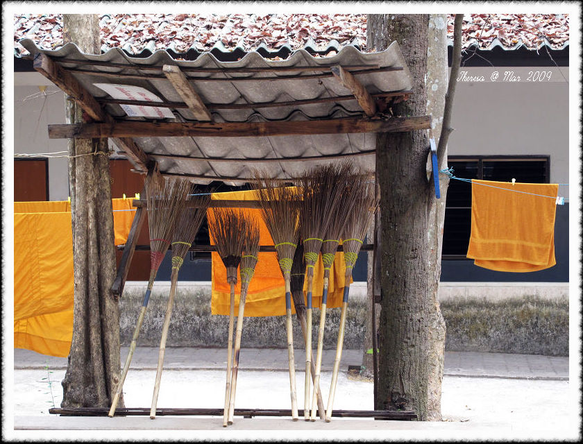 Wat Umong-6.jpg