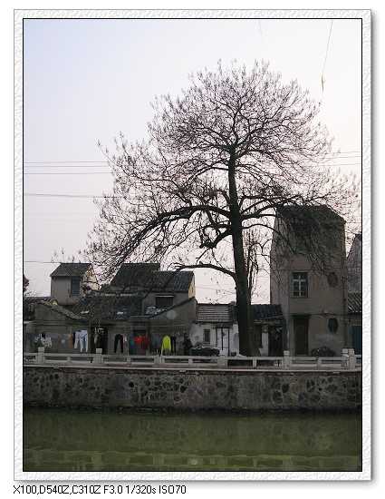河边2.jpg