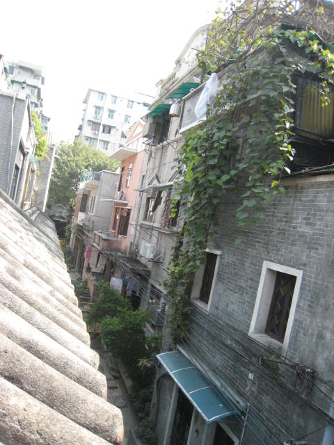 IMG_5715.JPG
