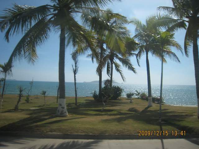 IMG_7050.JPG