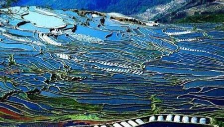 元阳梯田.jpg