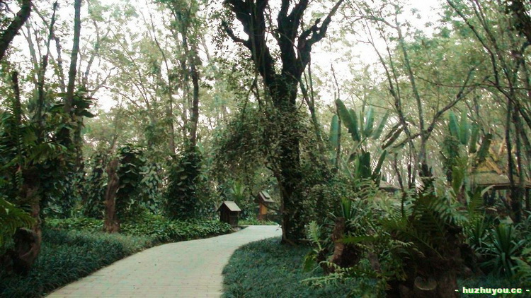 DSC00271.JPG