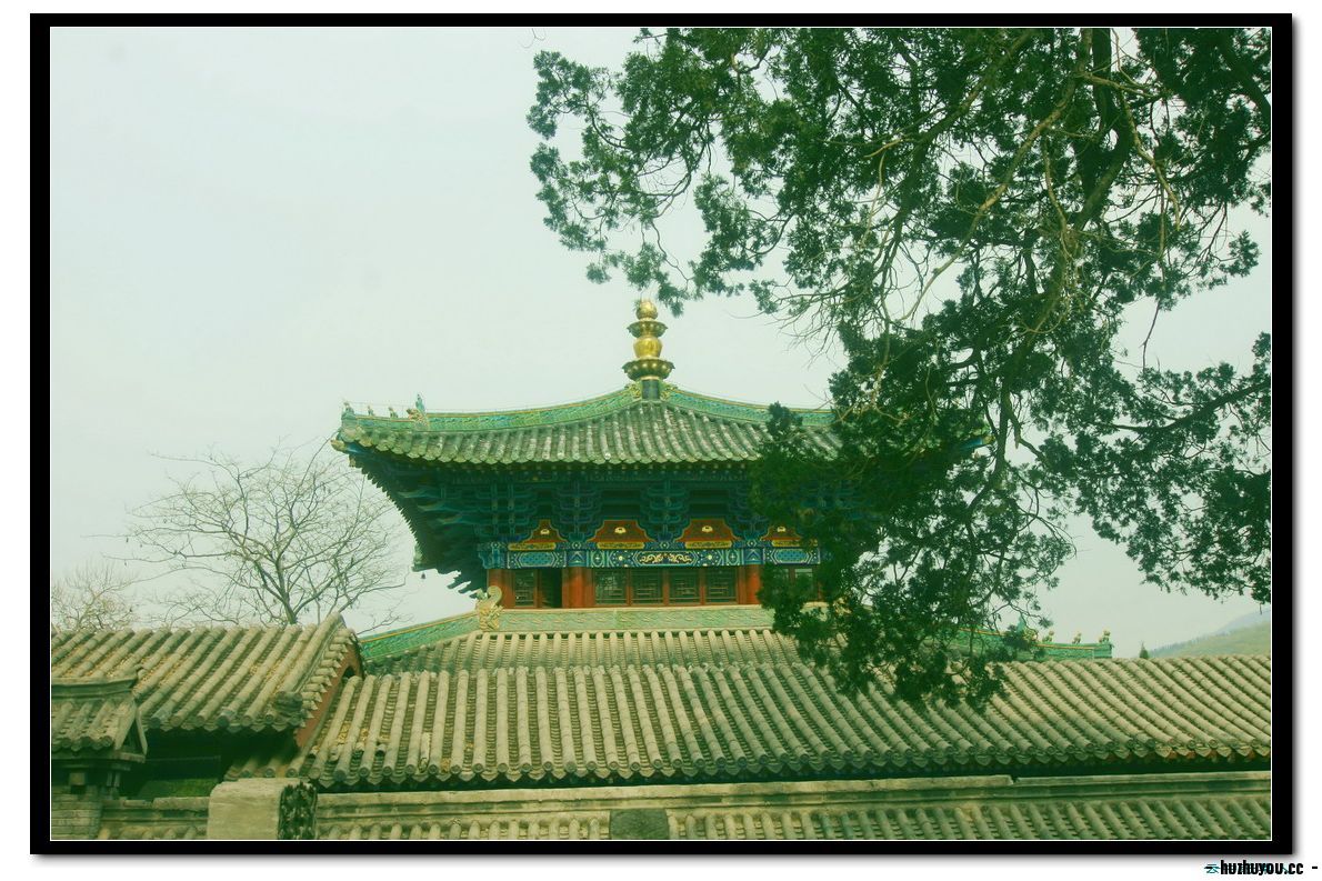 IMG_1313_缩小大小.JPG