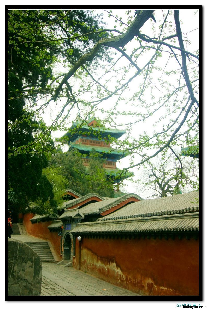 IMG_1354_缩小大小.JPG