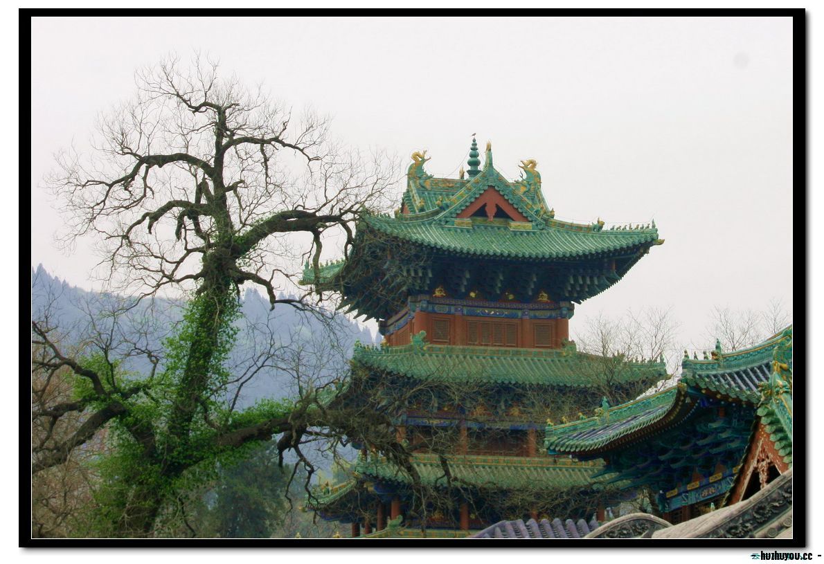IMG_1307_缩小大小.JPG