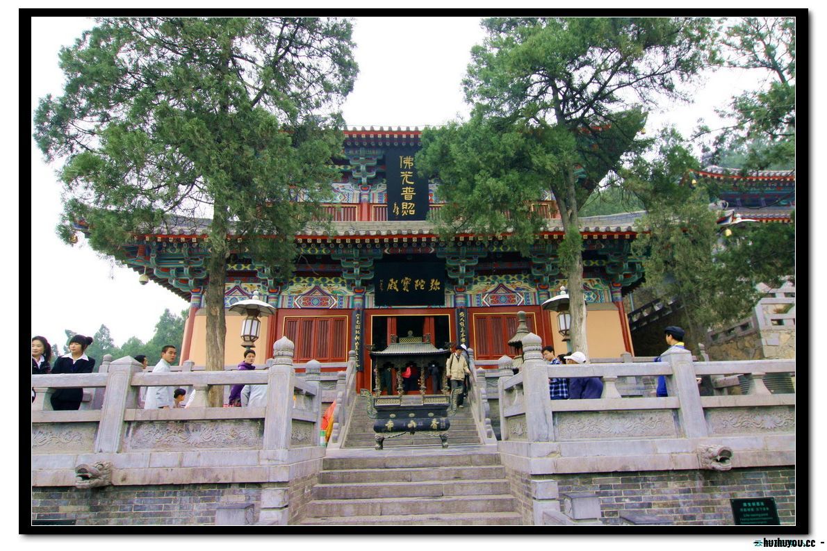 IMG_1633_缩小大小.JPG