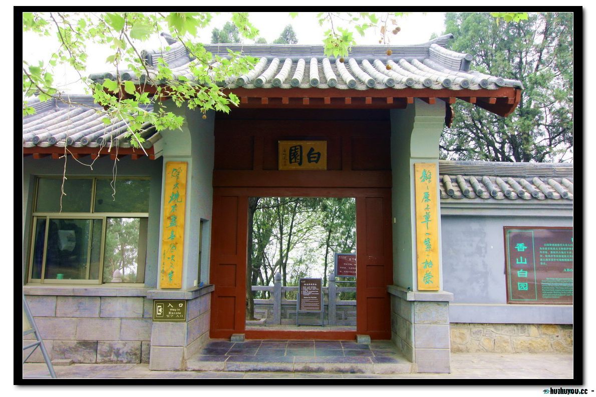 IMG_1636_缩小大小.JPG