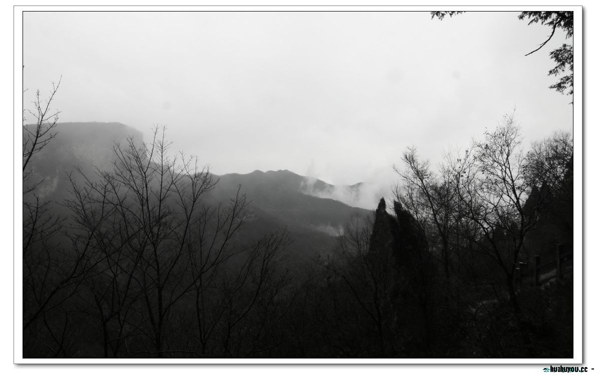 IMG_1874_缩小大小.JPG