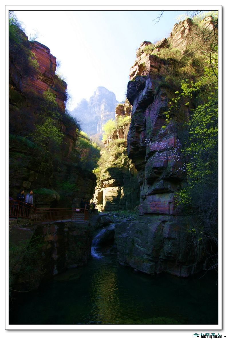 IMG_2386_缩小大小.JPG