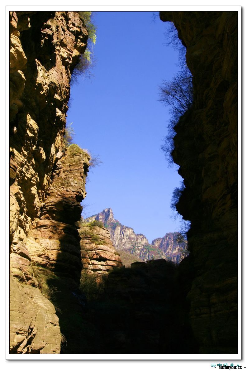 IMG_2393_缩小大小.JPG