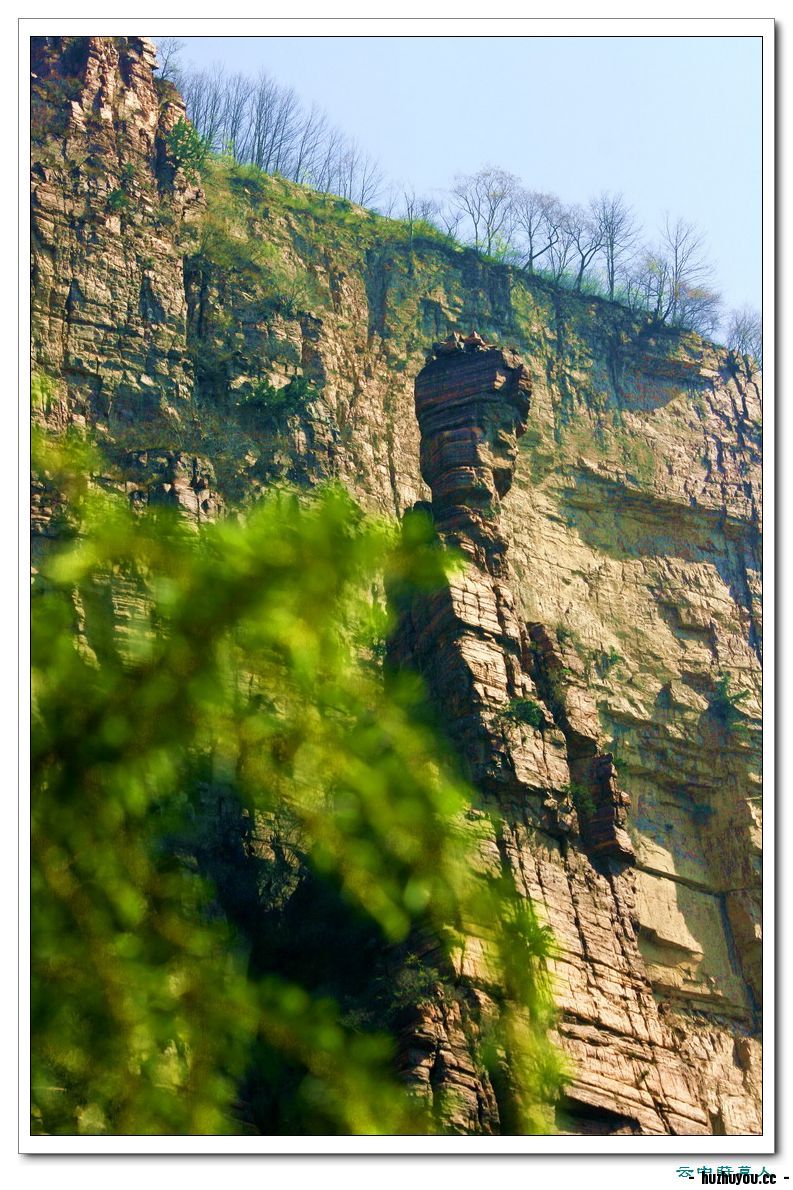 IMG_2438_缩小大小.JPG