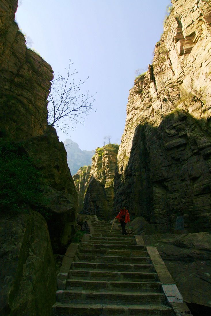 IMG_2433_缩小大小.JPG