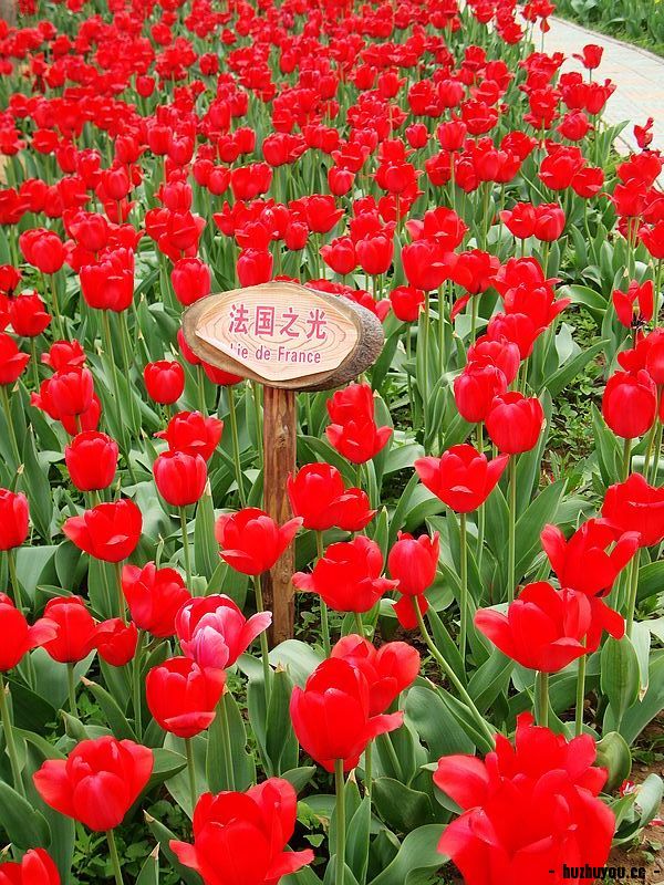nEO_IMG_DSC02443.jpg