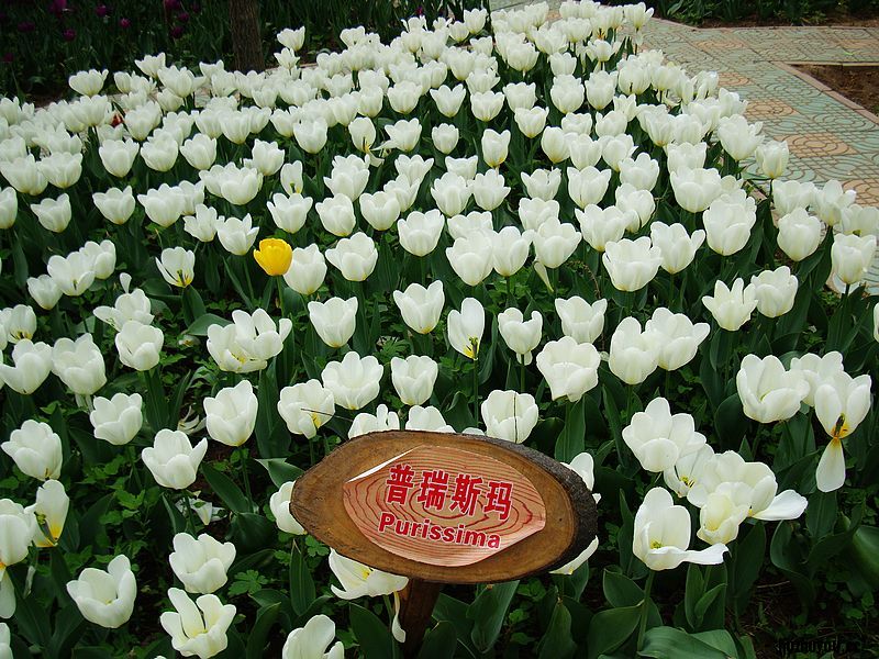 nEO_IMG_DSC02465.jpg