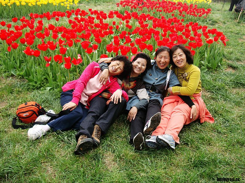 nEO_IMG_DSC02509.jpg