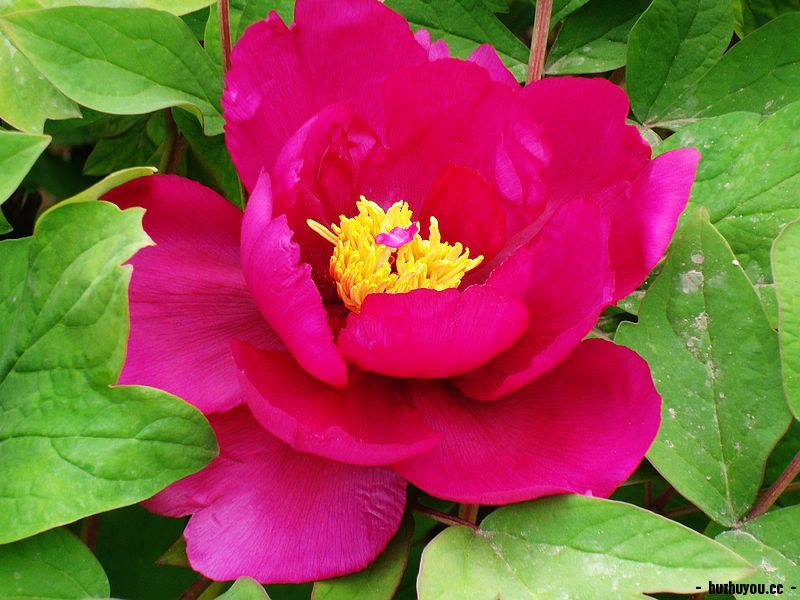 nEO_IMG_DSC02279.jpg