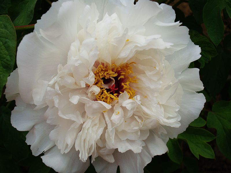 nEO_IMG_DSC02284.jpg