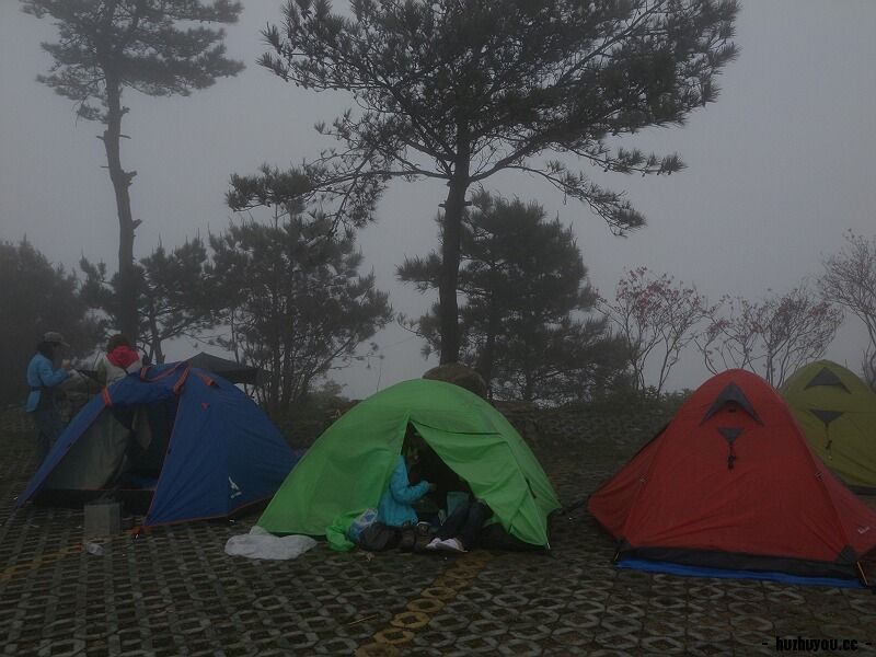 DSCN7905.jpg