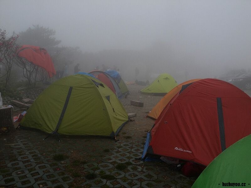 DSCN7909.jpg