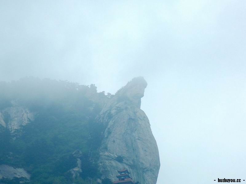 未命名.jpg