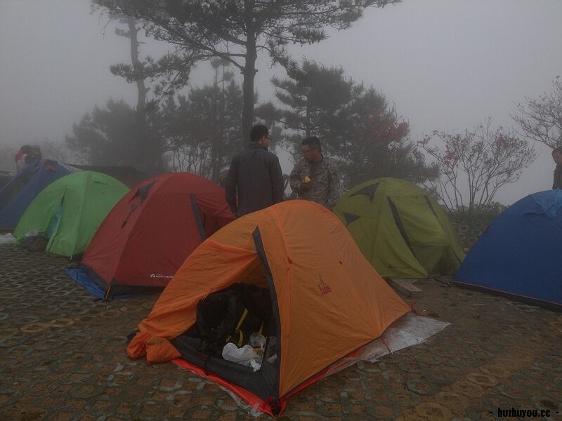 DSCN7917.jpg